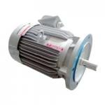 SF-JV 10HP 6P Mitsu Motor