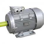 1LE012-1DB43-4AA4 SIEMENS MOTOR