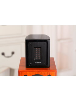 Black Piano Super Tweeter T3 ( Ribbon Tweeter ) รุ่นล่าสุด Gen 6 ช่วยเพิ่ม มิติ เวที ปลายเสียงให้กว้างพริ้วไกล**ร้านไทย พร่อมส่ง**