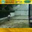 บ้านน็อคดาวน์ บ้านสำเร็จรูป สร้างออฟฟิศ บ้านในสวน ms07
