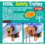 VITAL ไวตัล 90AG รอกวิ่งมีเกียร์ 10 ตัน ญี่ปุ่น AG Geared Trolley