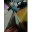 deadlock series 1-6 จบ+เล่มพิเศษ (ส่งemsฟรี)