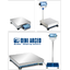 20.6.2 แผ่นชั่งสำเร็จรูปรุ่น PB Series (SINGLE CELL PLATFORMS)