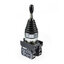 Joystick CM101DJ21 Spring Return 2 Position EMAS