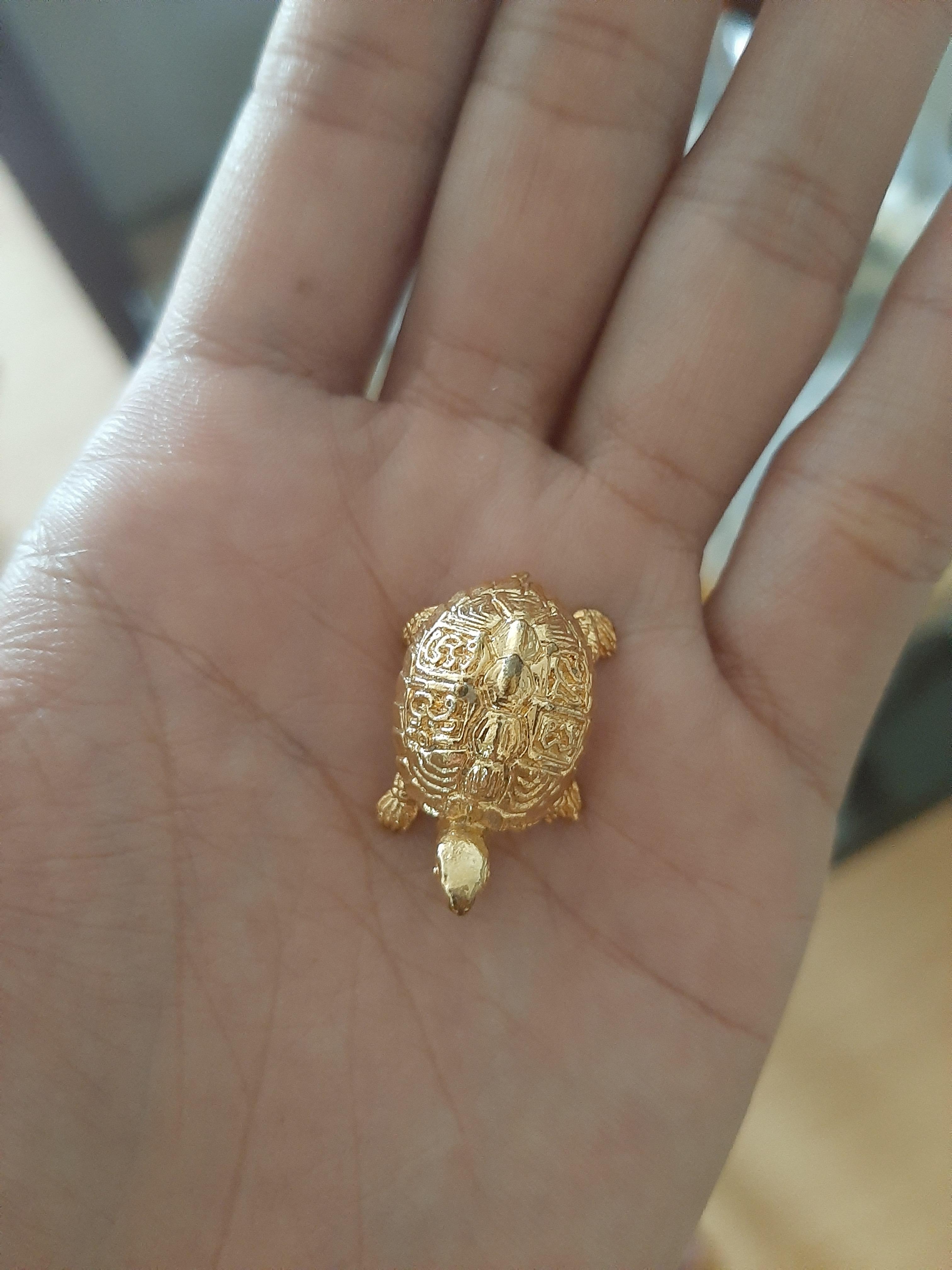 เต่ากะไหล่ทอง หลวงพ่อสนิท วัดลำบัวลอย