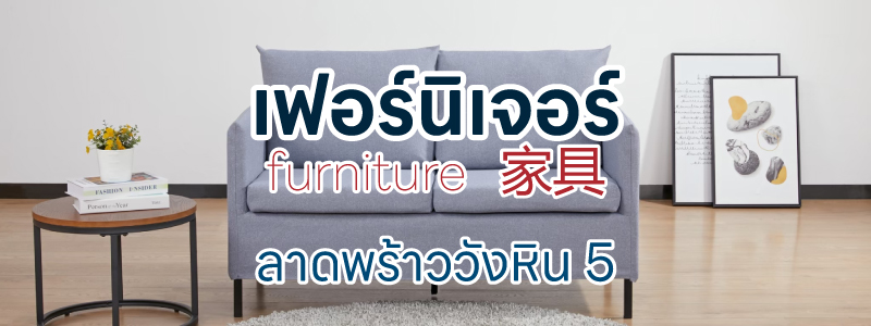เฟอร์นิเจอร์ Furniture เก้าอี็ โต๊ะ เตียง ชั้นวาง เตียงแมว โซฟา