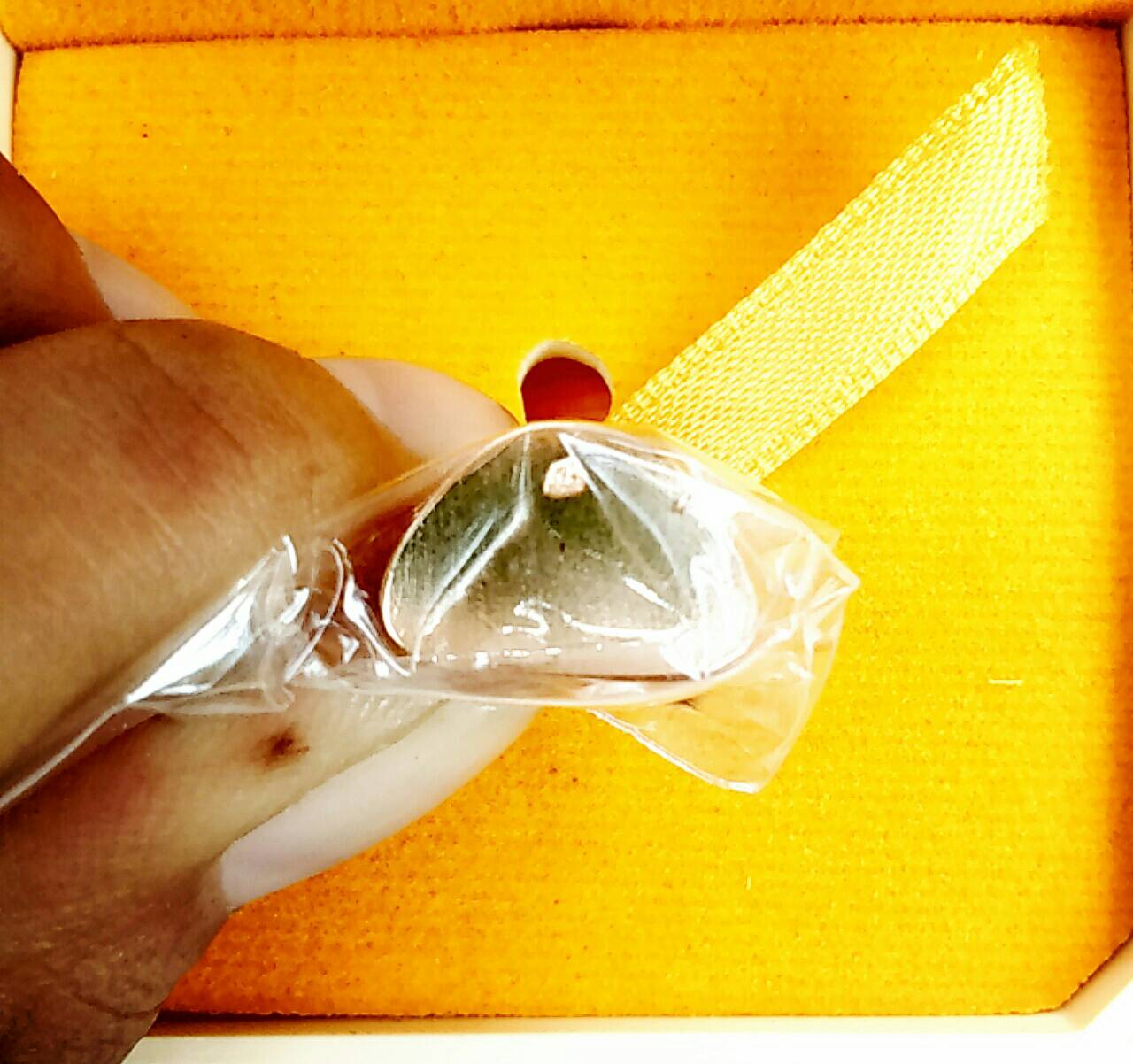 รูปหล่อลอยองค์สมเด็จพระญาณสังวรฯ ปี 58 (พิมพ์ใหญ่)