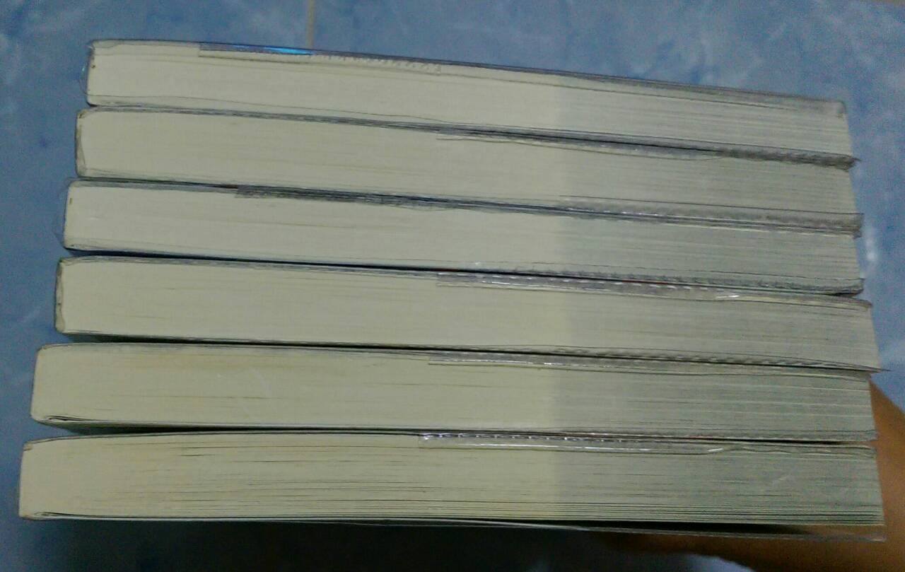 ลำนำวิหคสวรรค์ 1-29