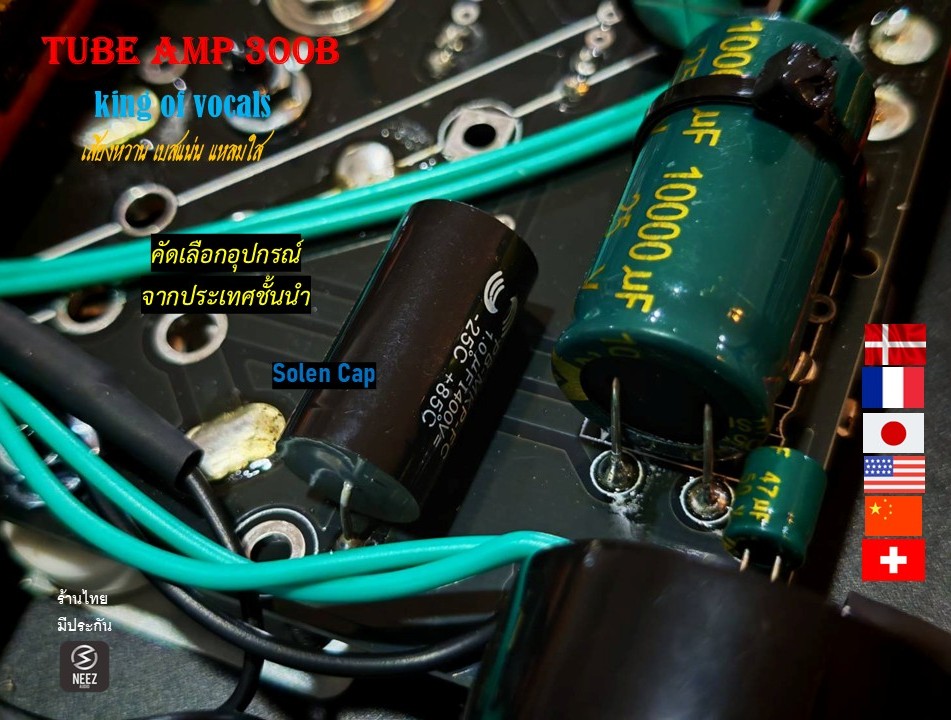 แอมป์หลอด 300B Tube Amp Pure Class A เสียงหวาน เบสแน่น แหลมใส - ร้านไทย พร้อมส่ง -