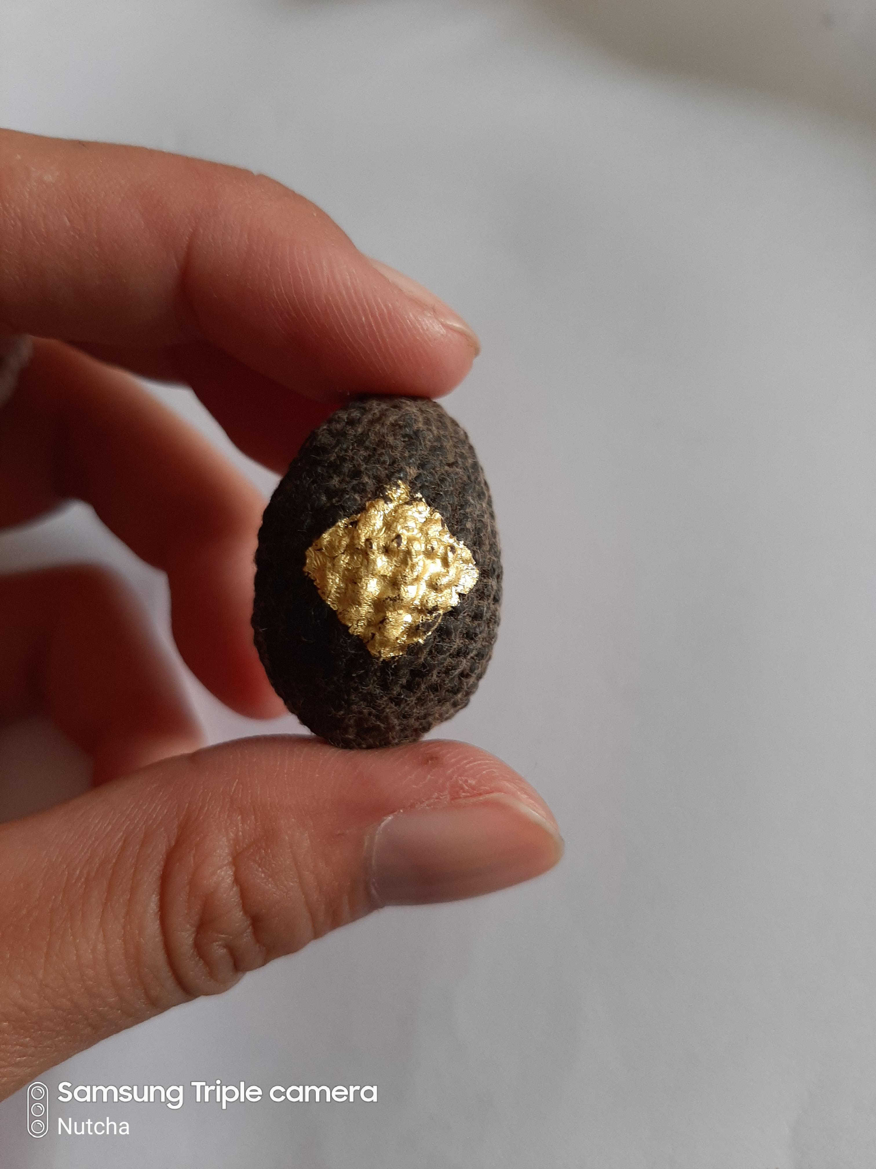 เบี้ยแก้หลวงตาเผือด วัดมะกอก หลังตระกรุดกันงู จากเว็บวัดท่าขนุน