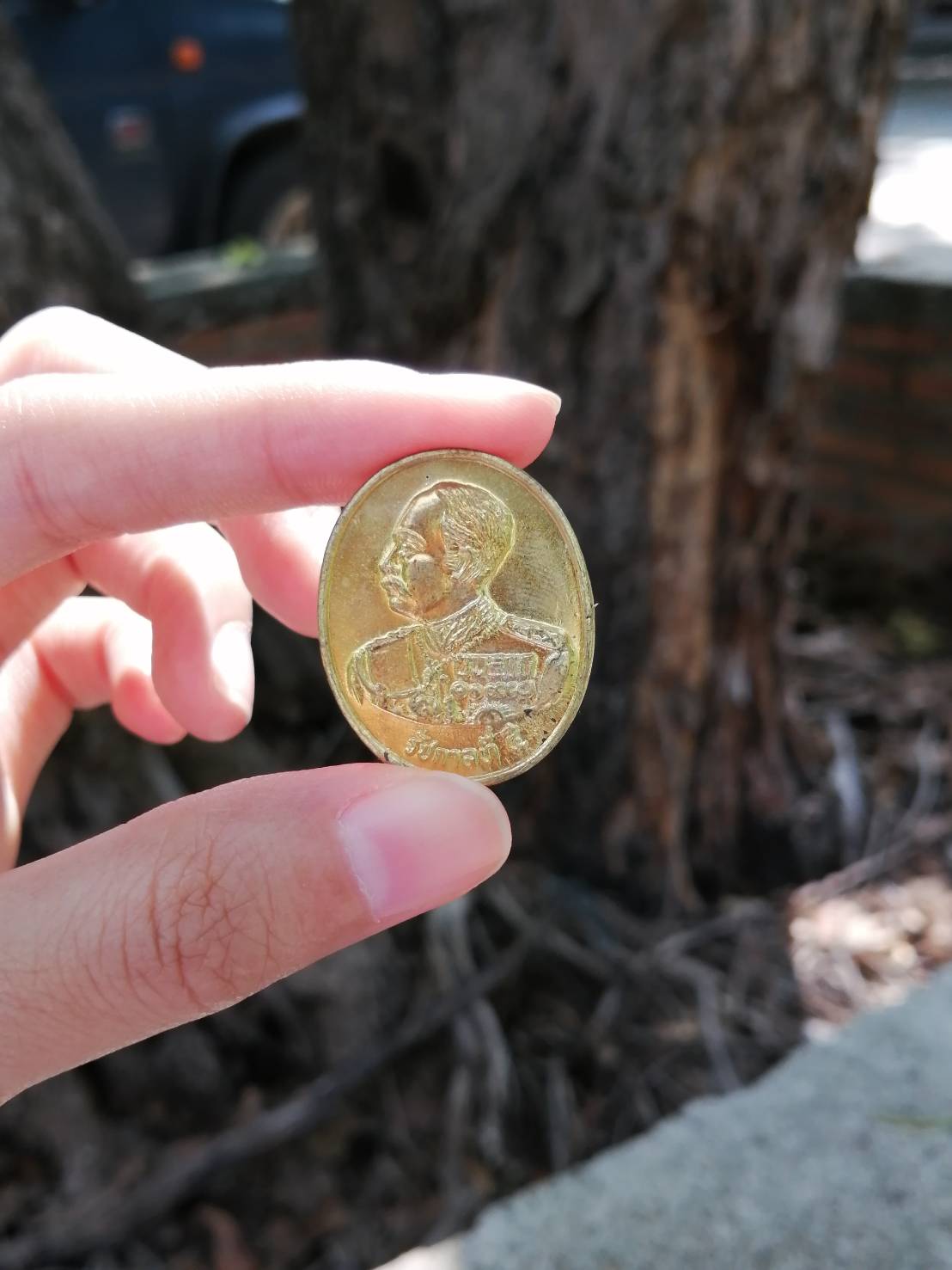 เหรัยญรัชกาลที่ 5 หลวงพ่อฤาษีลิงดำ วัดท่าซุง (หายาก) (เหลือรมดำ)