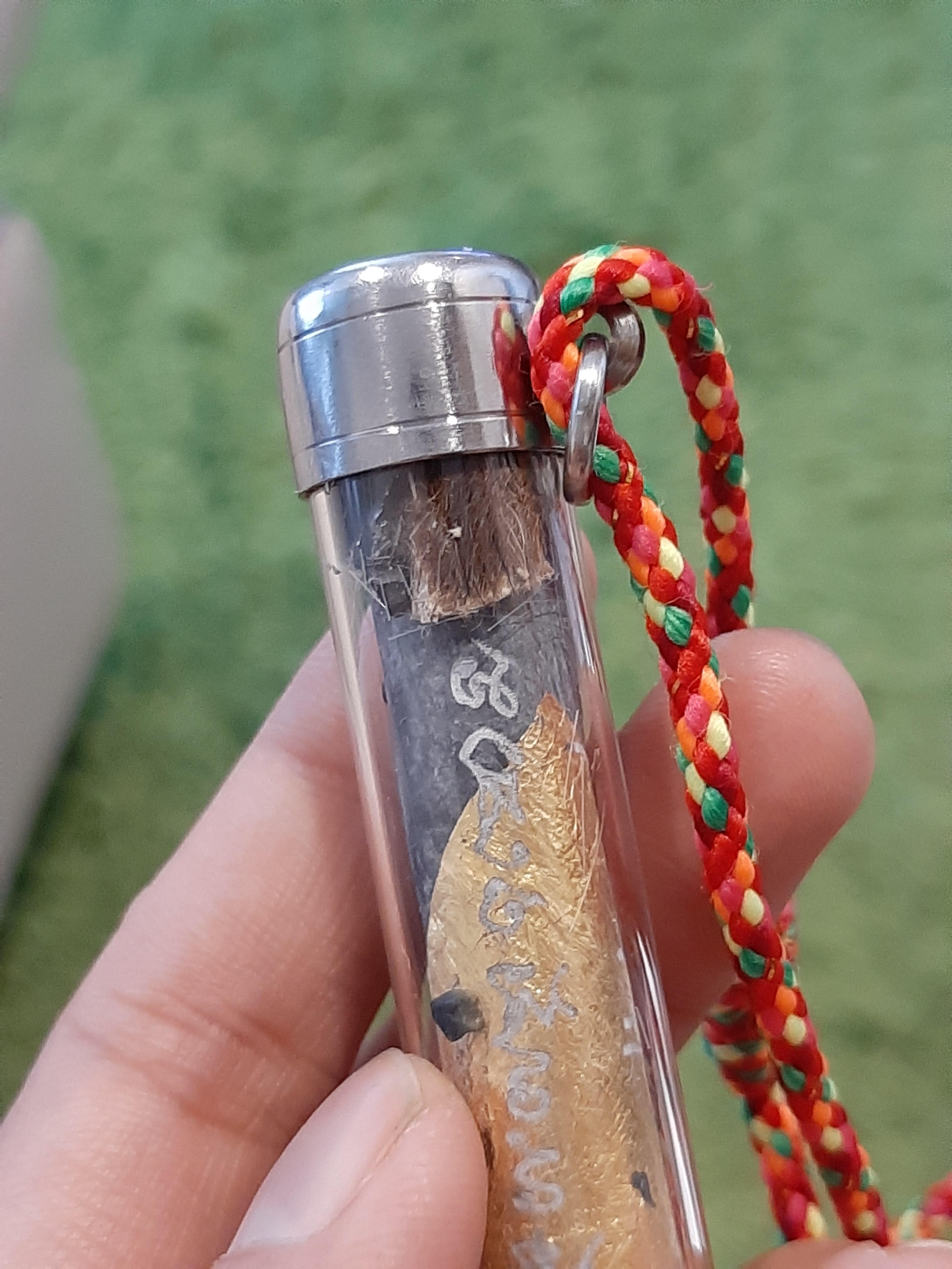 ตะกรุดวัวกินนมเสือ ผงใบลาน มีเกศา ลป.ม่วง วัดยางงาม