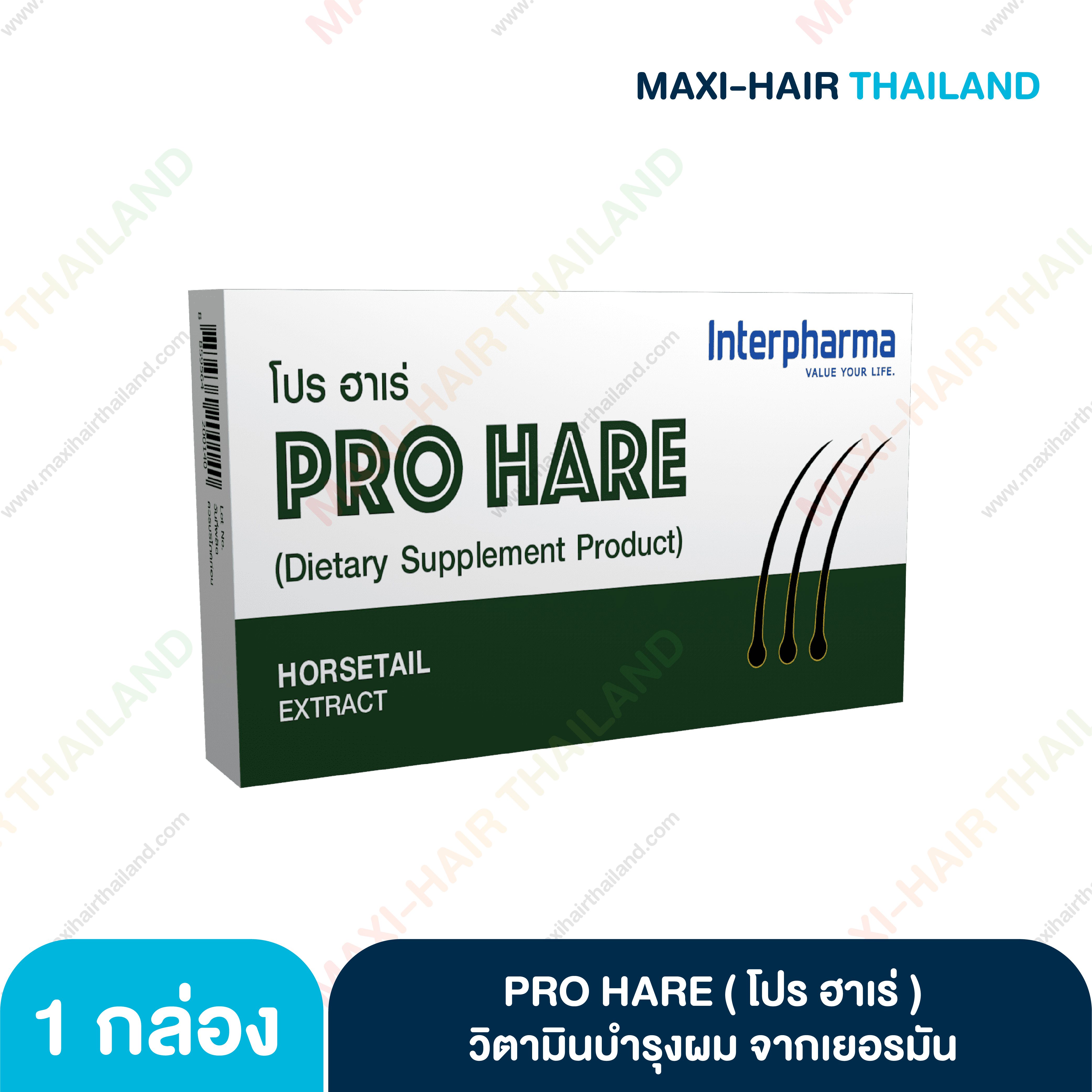 Pro Hare โปร ฮาเร่
