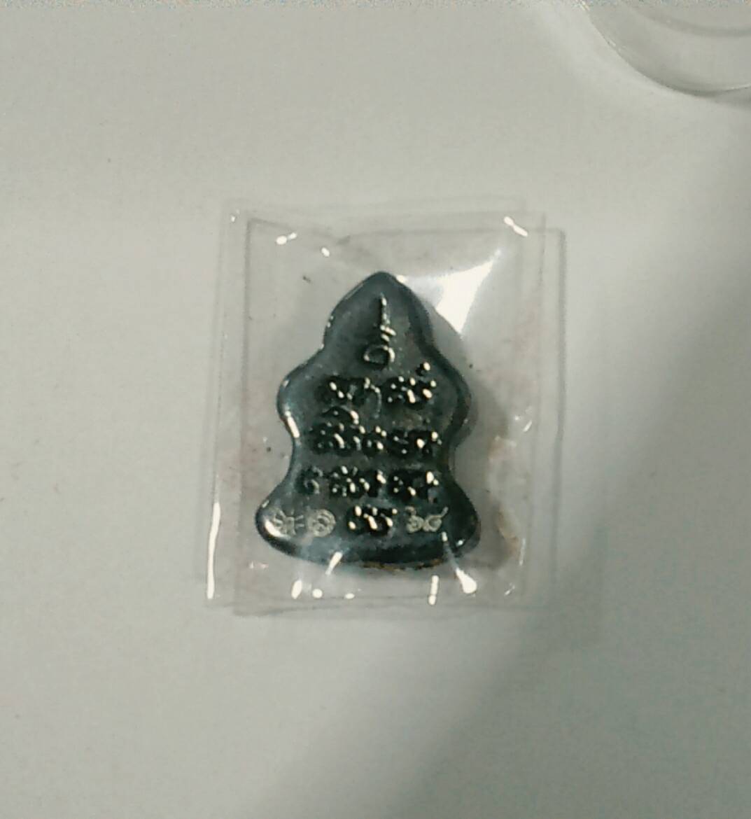 เต่านะหน้าทอง(เนื้อเมฆพัตร) ล.ป.นาค วัดดอนเสือ อุดผงว่านดอกทองมหาเสน่ห์