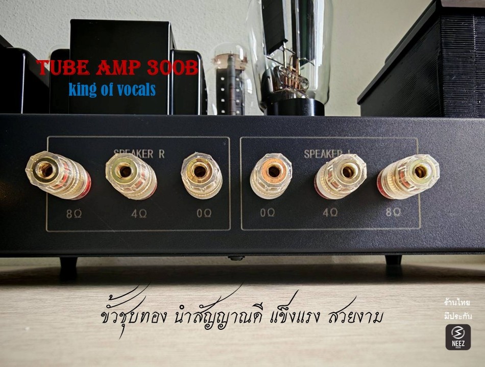 แอมป์หลอด 300B Tube Amp Pure Class A เสียงหวาน เบสแน่น แหลมใส - ร้านไทย พร้อมส่ง -