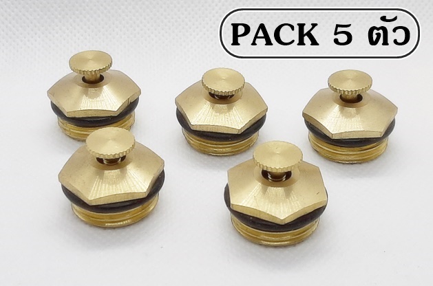 หัวพ่นสเปรย์ละอองน้ำใบบัว ทองเหลืองแท้ เกลียว 4 หุน (1/2 นิ้ว) ปรับหรี่ได้ แพ็ค 5 ตัว