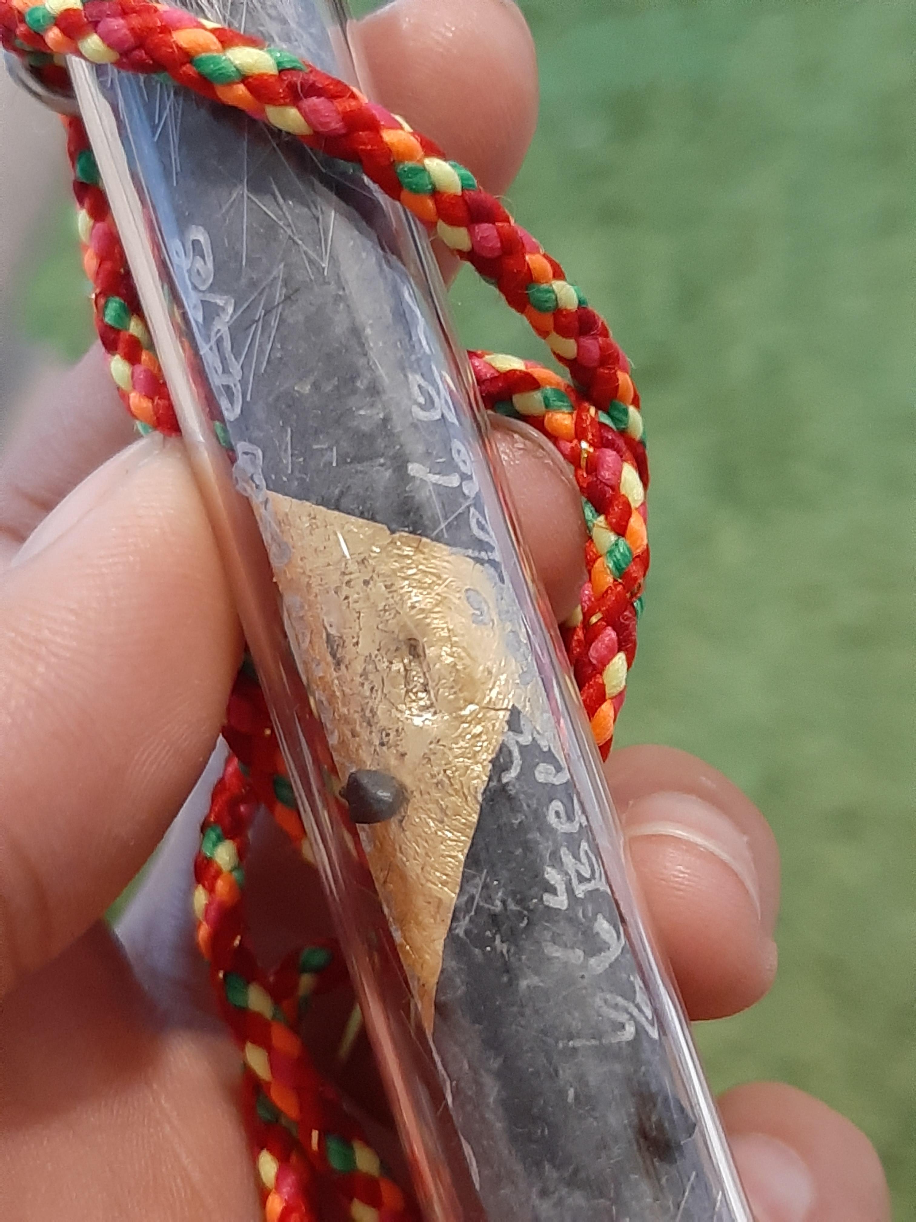 ตะกรุดวัวกินนมเสือ ผงใบลาน มีเกศา ลป.ม่วง วัดยางงาม