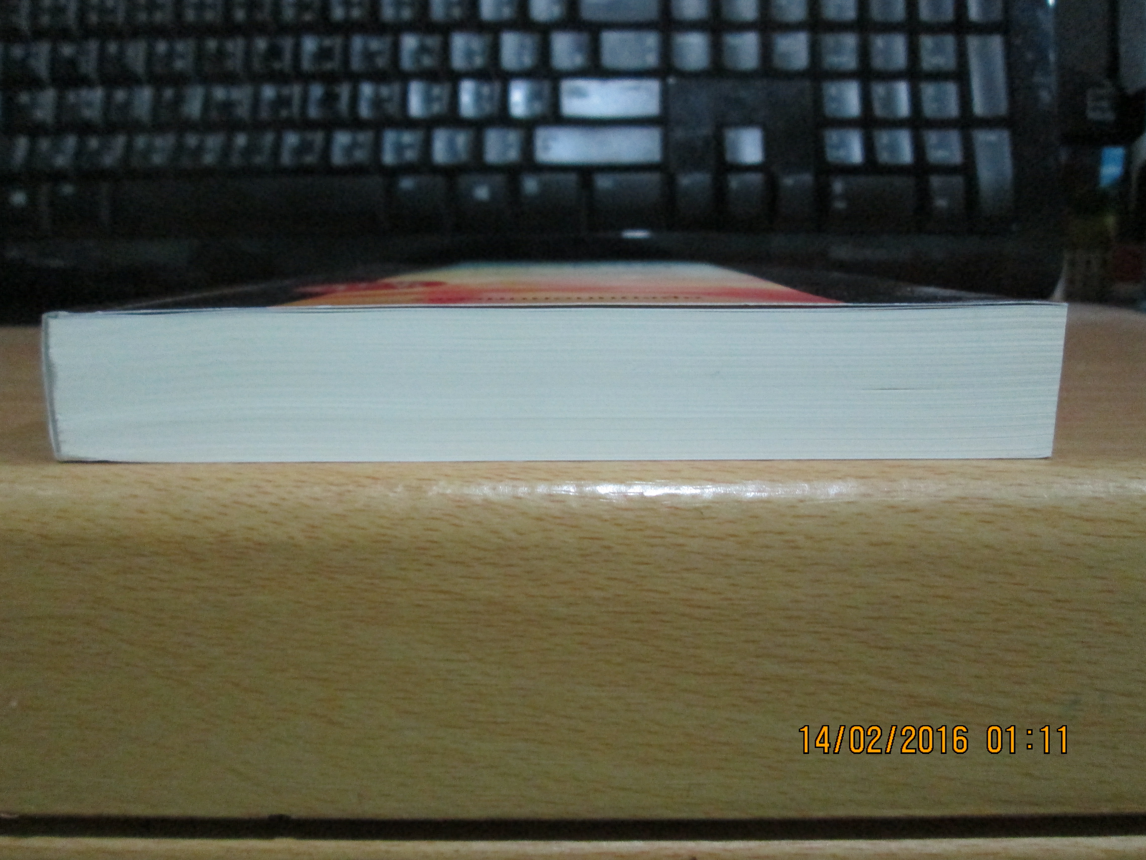 เสน่ห์นางอ้วน