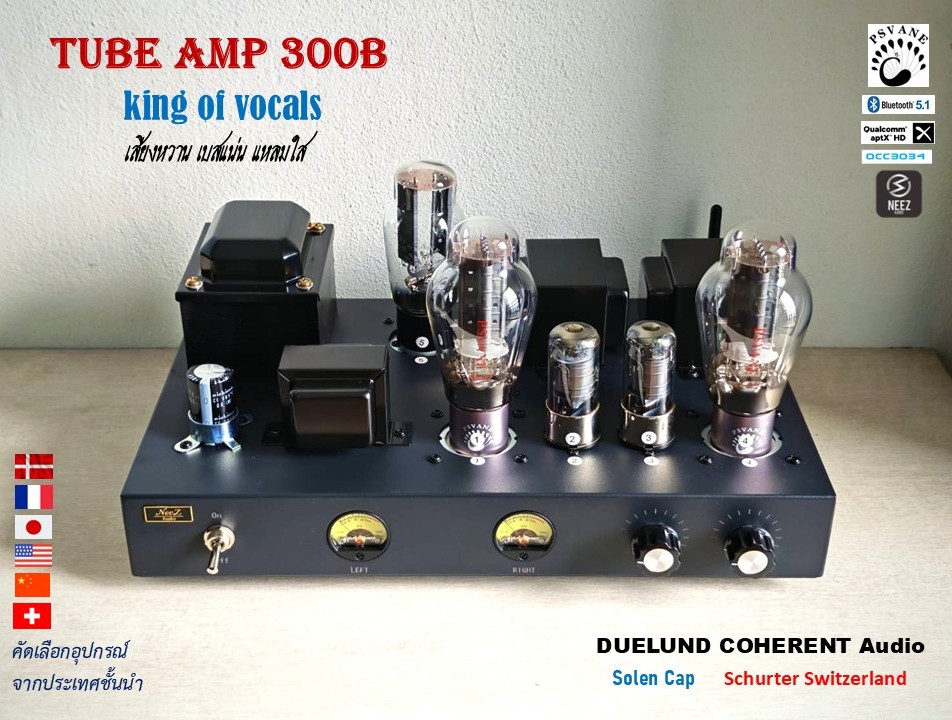 แอมป์หลอด 300B Tube Amp Pure Class A เสียงหวาน เบสแน่น แหลมใส - ร้านไทย พร้อมส่ง -