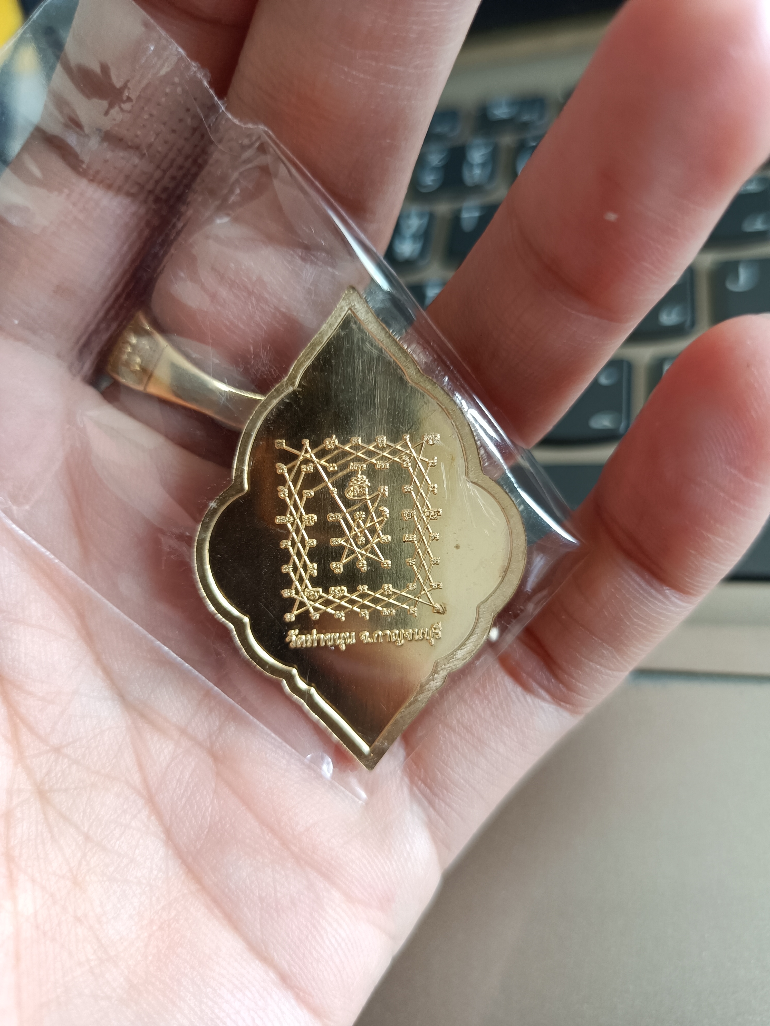 เหรียญนาคเกี้ยวกันภัย เนื้อทองทิพย์ วัดท่าขนุน