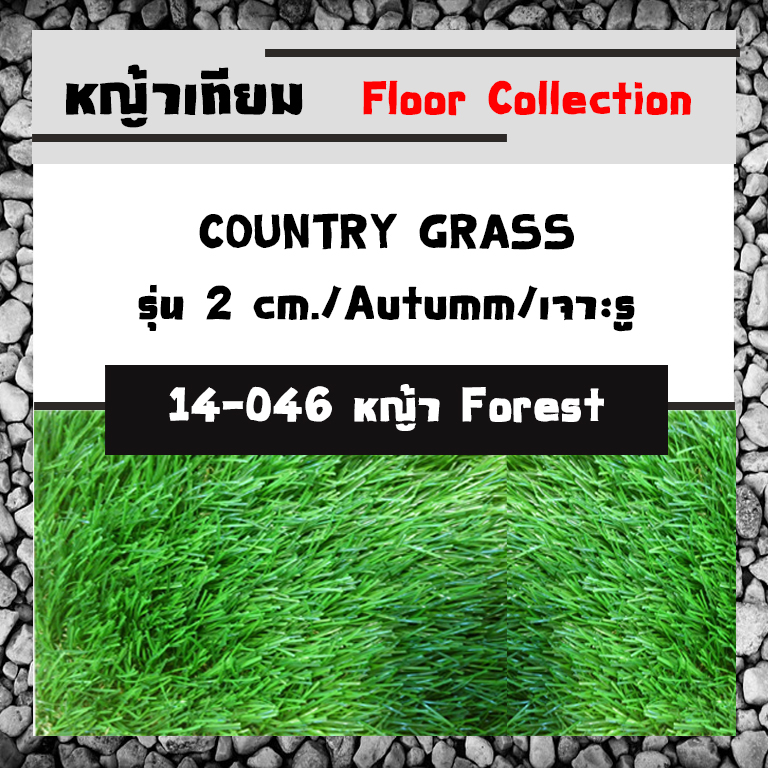 COUNTRY GRASS