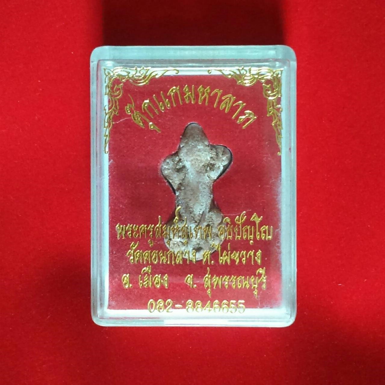 ตุ๊กแกมหาลาภ พระครูสมุห์สุเทพ วัดดอนกลาง จ.สุพรรณบุรี