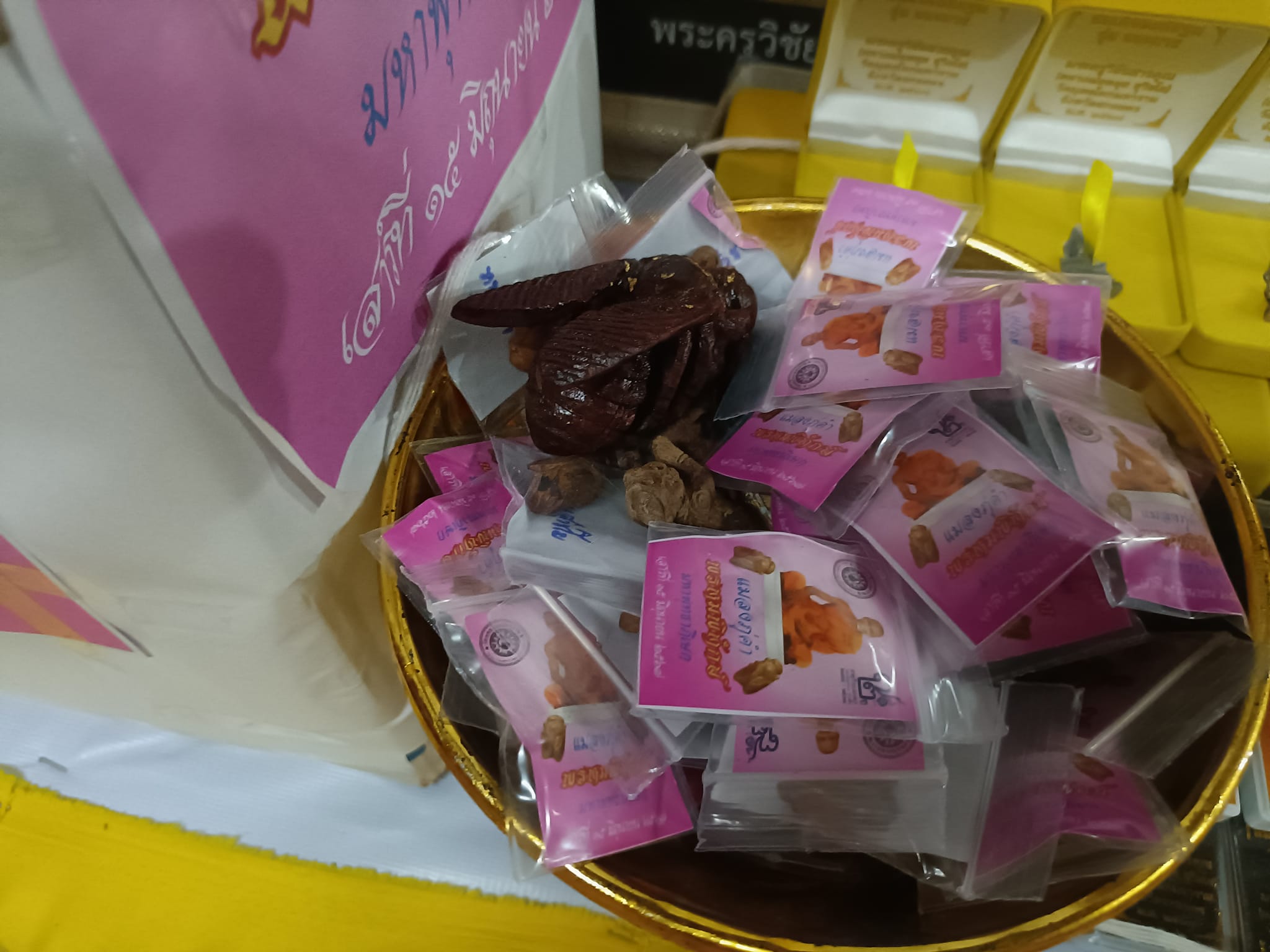 เบี้ยแก้ รุ่น ชนะมาร หลวงพ่อหนุน ปี 67