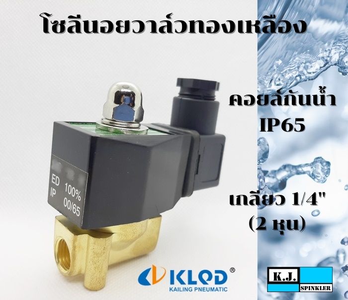 โซลีนอยวาล์วทองเหลือง ขนาด 1/4 นิ้ว ปกติปิด (NC) 2/2 คอยล์กันน้ำ IP65 (AC220V, AC24V, DC24V, DC12V)