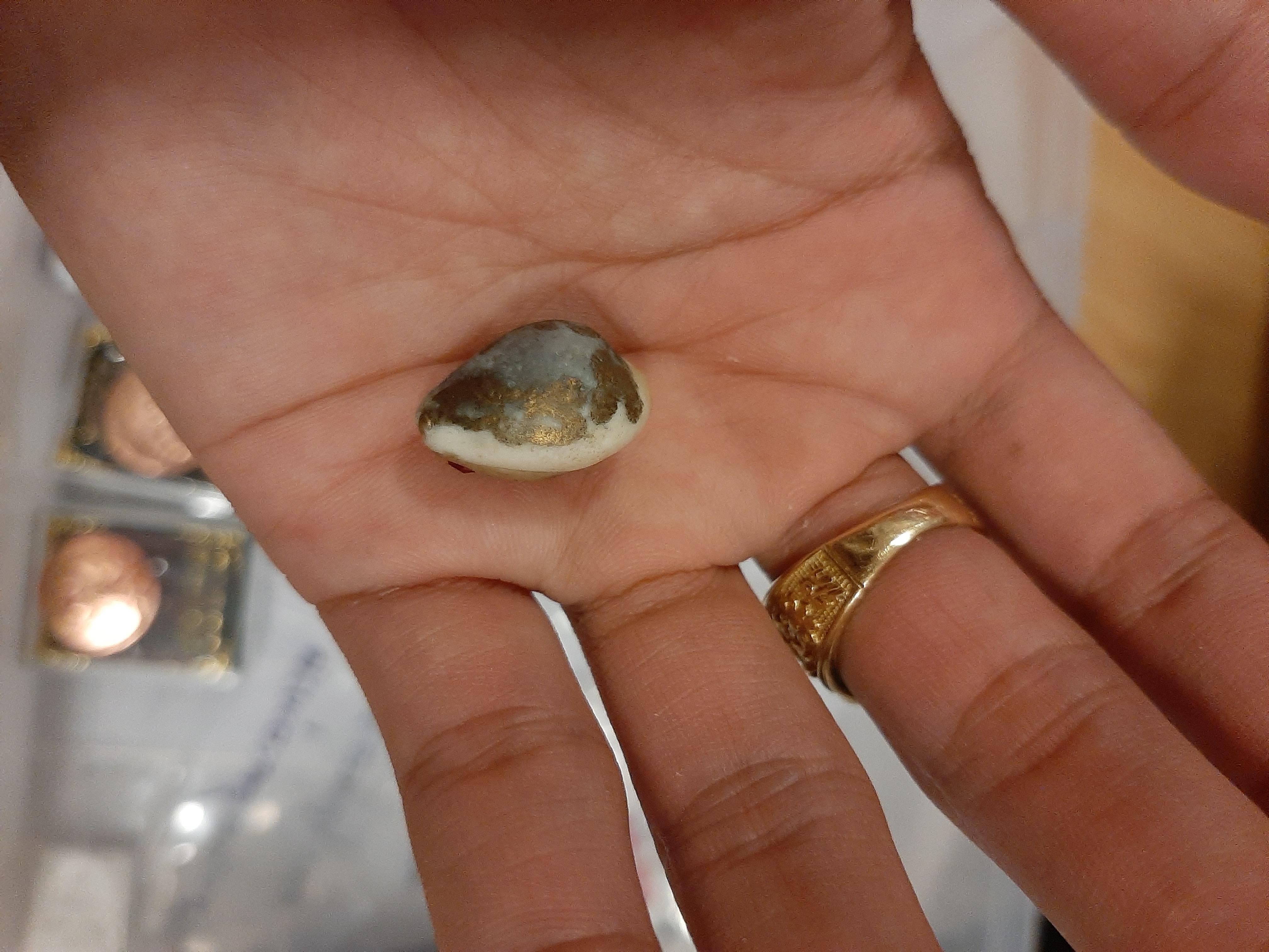 เบี้ยแก้เศรษฐีเงินล้าน (ภควจั่น) หลวงปู่หงษ์ สุสานทุ่งมน