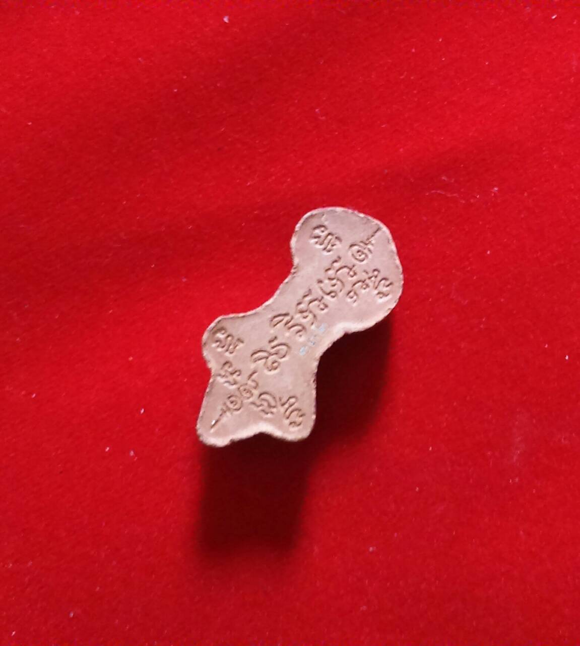 ตุ๊กแกมหาลาภ(องค์ครู) พระครูสมุห์สุเทพ วัดดอนกลาง จ.สุพรรณบุรี