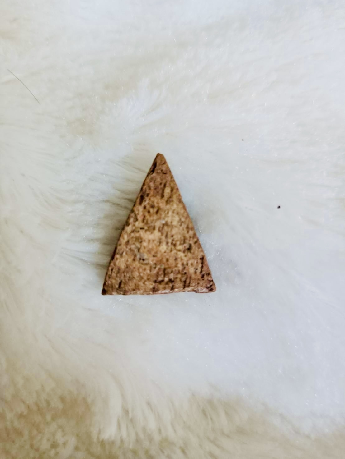 พระนางพญา สมัยอโยธยา วัตถุมงคลส่วนองค์หลวงพ่อเล็ก วัดท่าขนุน