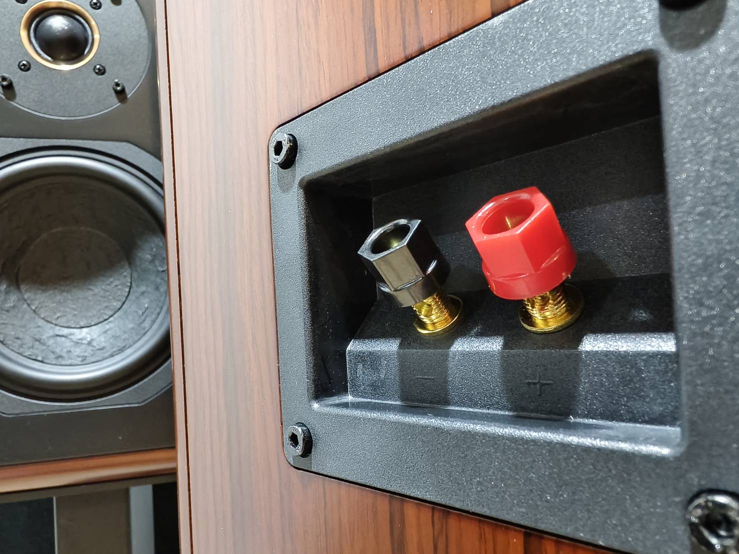 ลำโพงไม้ Chario Italy (ก็อปปี้) เสียงอิ่มหนา หวานๆ เบสนุ่มลึก แหลมสวยๆไม่กัดหู ร้านไทย พร้อม