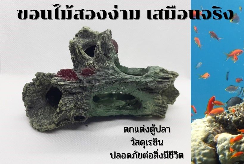 โพรงขอนไม้เรซิน สองง่าม ตกแต่งตู้ปลา เหมือนไม้จริงมาก เป็นธรรมชาติ ให้ปลาลอด หลบภัย ส่งจากประเทศไทย