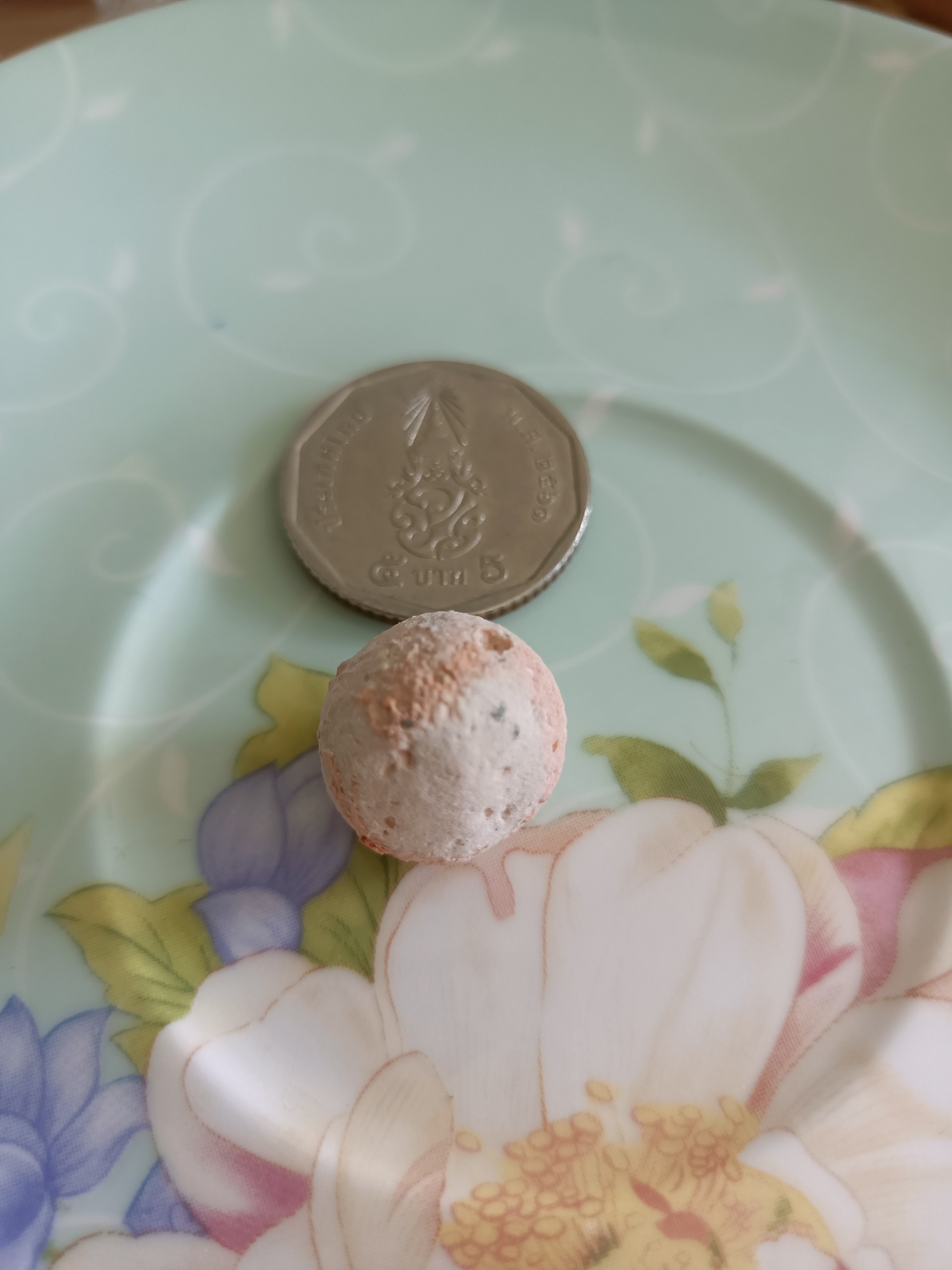 ลูกอมแก้วมังกร ล้างอาถรรพ์/ปรับฮวงจุ้ย ลพ.เล็ก วัดท่าขนุน พอจ.บ๊ะ วัดโพธิ์ลังกา