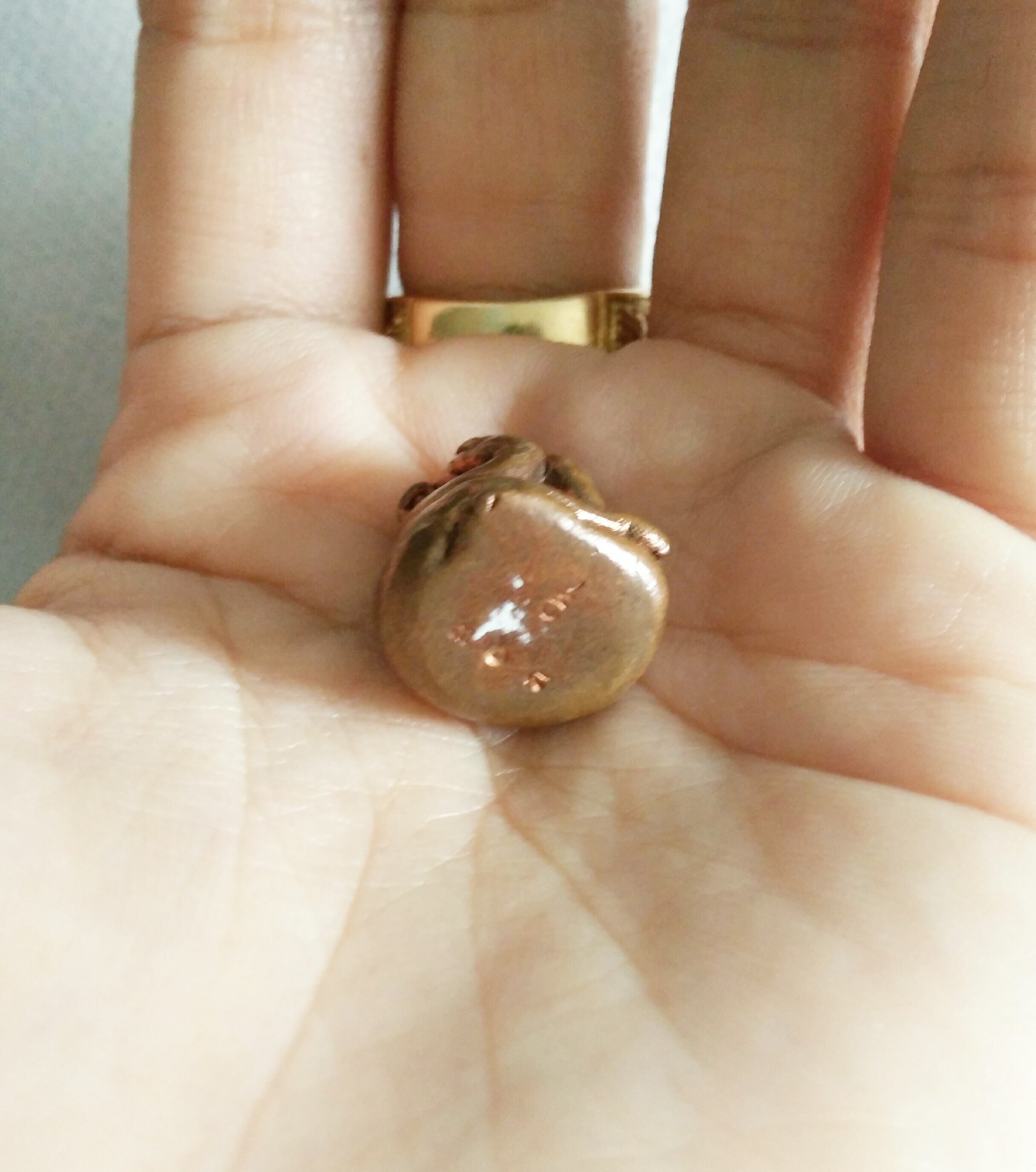 พระปิดตามหาลาภ พิมพ์ปุ้มปุ้ย หลวงตาวาส วัดสะพานสูง ปี 53