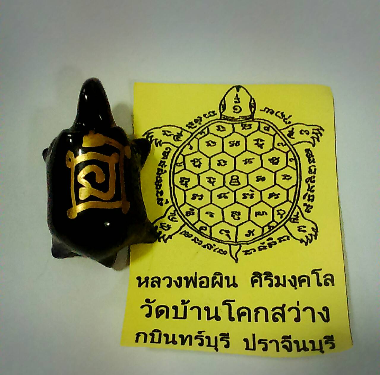 พญาเต่าจ้าวทรัพย์ (เร่งรวย ห้ามจน) หลวงพ่อผิน วัดโคกสว่าง