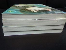 ระวังจะตกหลุมรัก 1-4 จบ (ส่งธรรมดาฟรี)