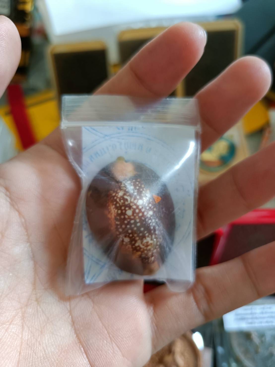 เบี้ยแก้ รุ่น ชนะมาร หลวงพ่อหนุน ปี 67