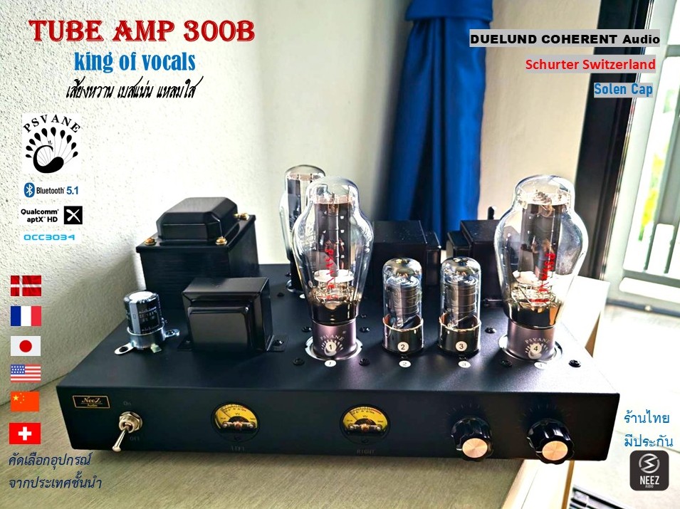 แอมป์หลอด 300B Tube Amp Pure Class A เสียงหวาน เบสแน่น แหลมใส - ร้านไทย พร้อมส่ง -