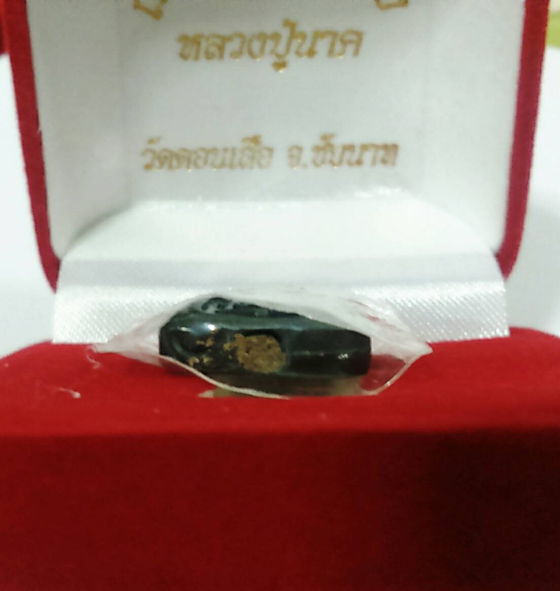 เต่านะหน้าทอง(เนื้อเมฆพัตร) ล.ป.นาค วัดดอนเสือ อุดผงว่านดอกทองมหาเสน่ห์