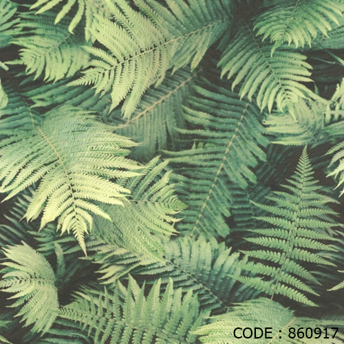 BB VI 860917
