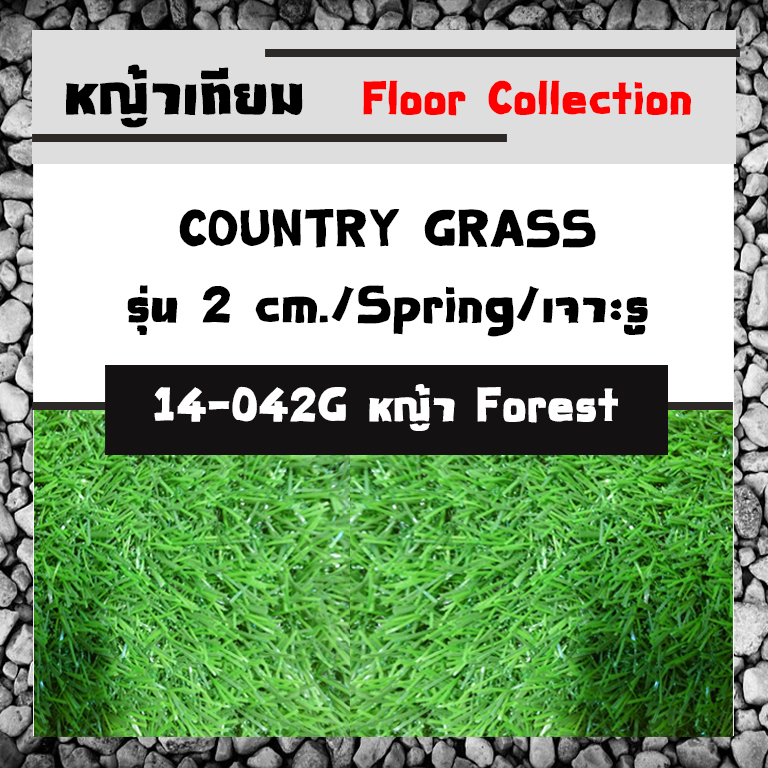 COUNTRY GRASS