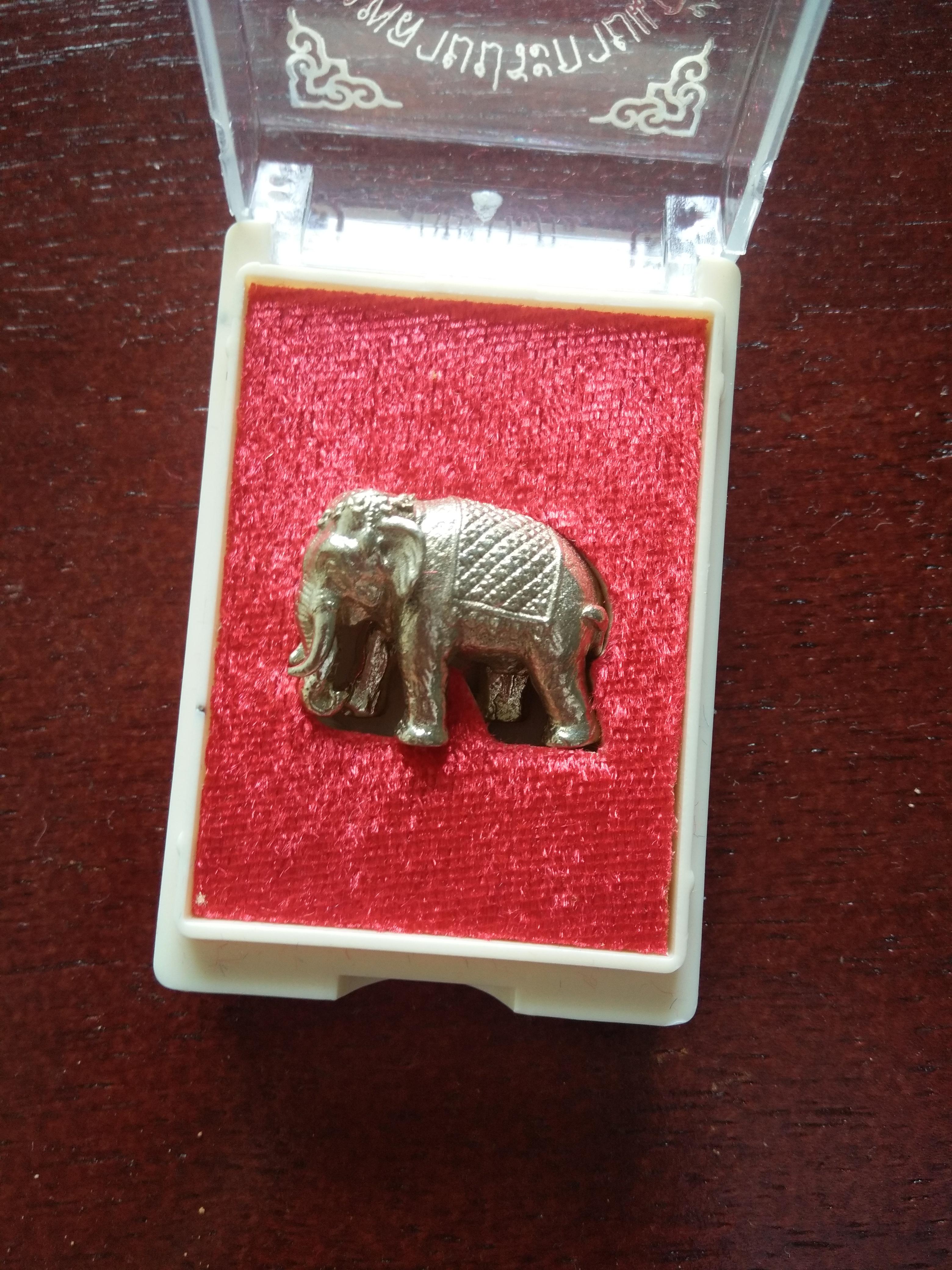 ช้างพลายประกายแก้ว เนื้ออัลปาก้า วัดพระพุทธบาทถ้ำป่าไผ่