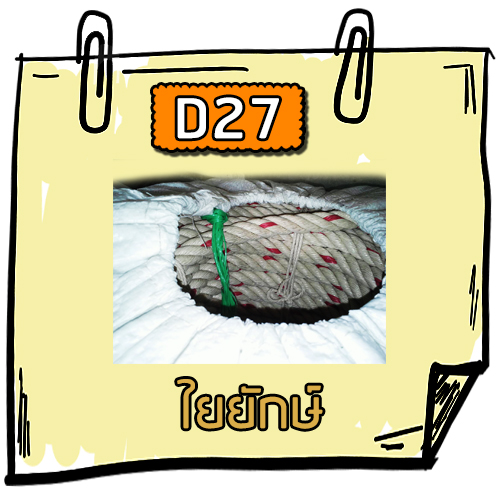 D27 - ใยยักษ์