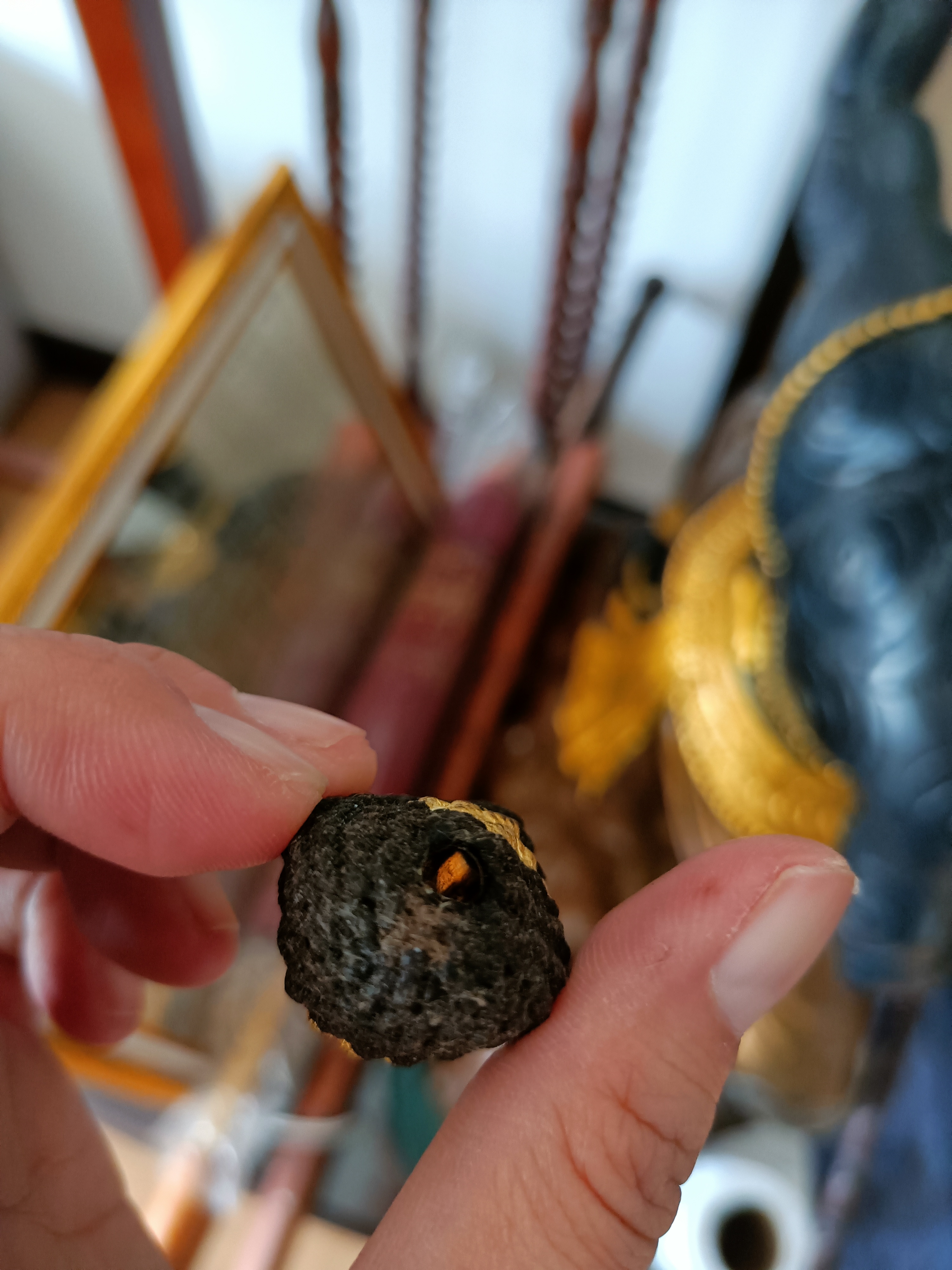 เบี้ยแก้ หลวงตาเผือด วัดมะกอก แท้เก่าถึงยุค