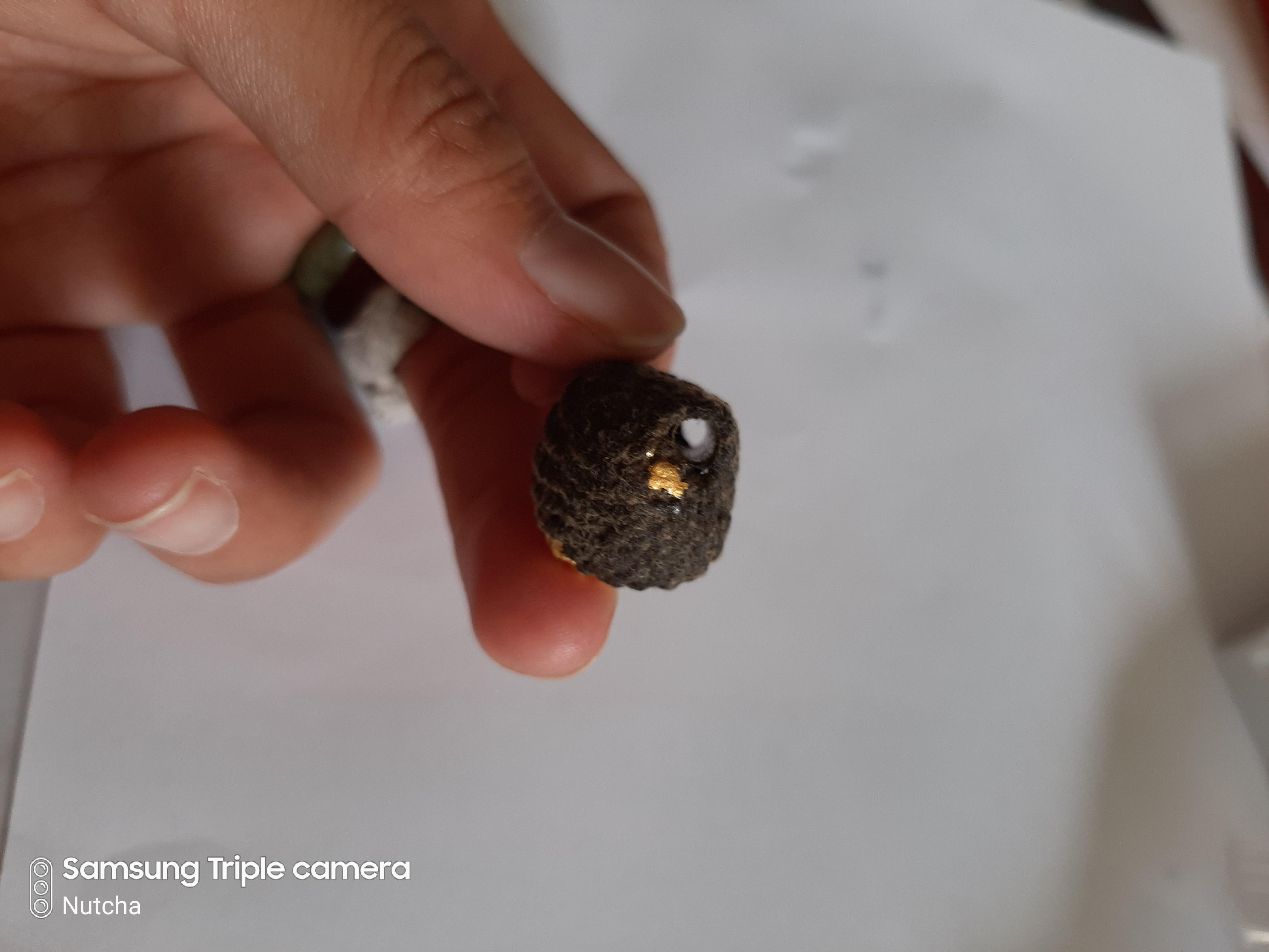 เบี้ยแก้หลวงตาเผือด วัดมะกอก หลังตระกรุดกันงู จากเว็บวัดท่าขนุน