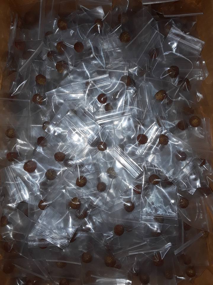 ชานหมากมนต์พระกาฬผลาญไพรีเลี่ยมเงิน องค์ 6 ลพ.เอก วันเขาธัมมสรณ์ จ.อุทัยธานี ปี 59