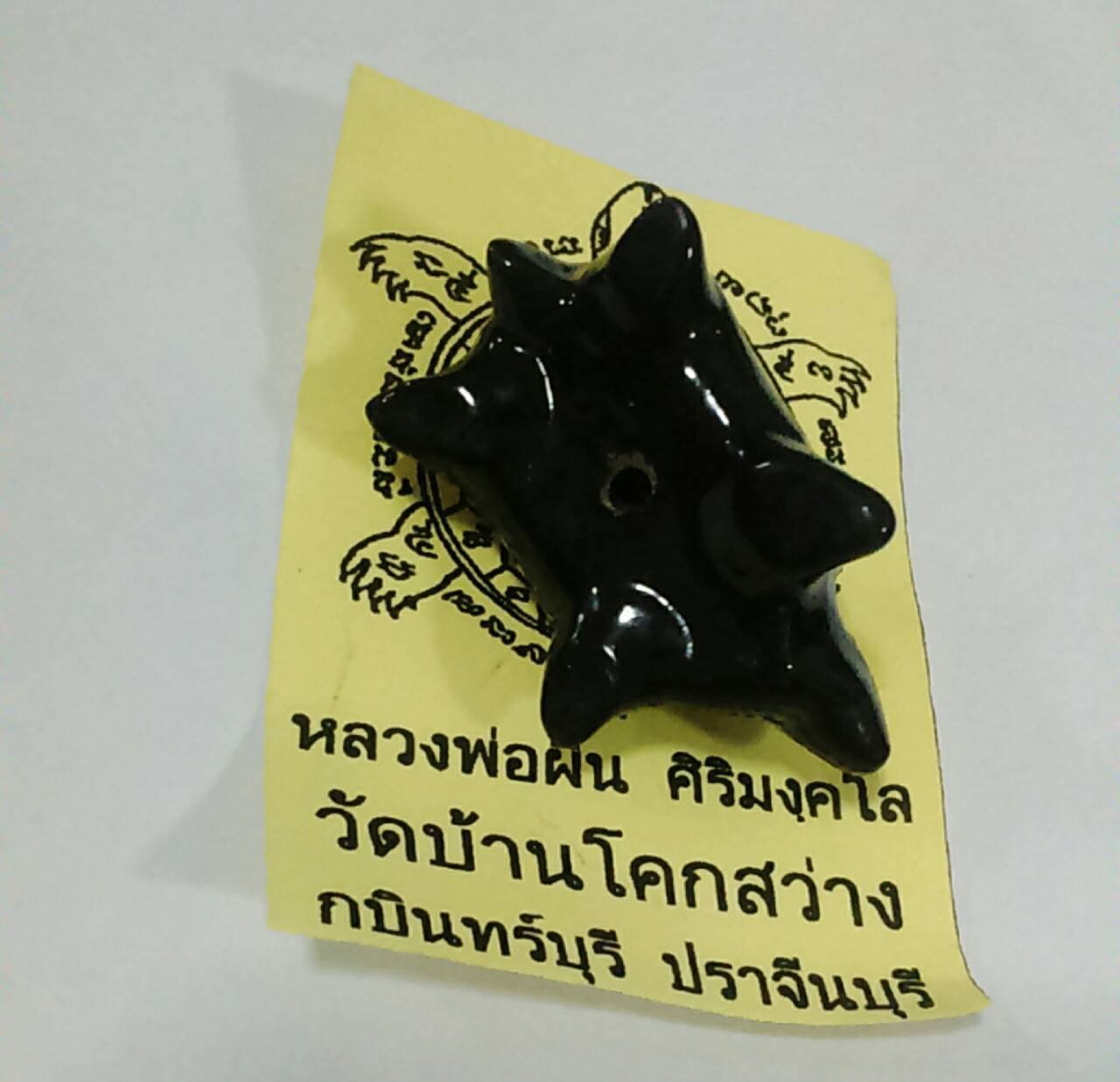 พญาเต่าจ้าวทรัพย์ (เร่งรวย ห้ามจน) หลวงพ่อผิน วัดโคกสว่าง