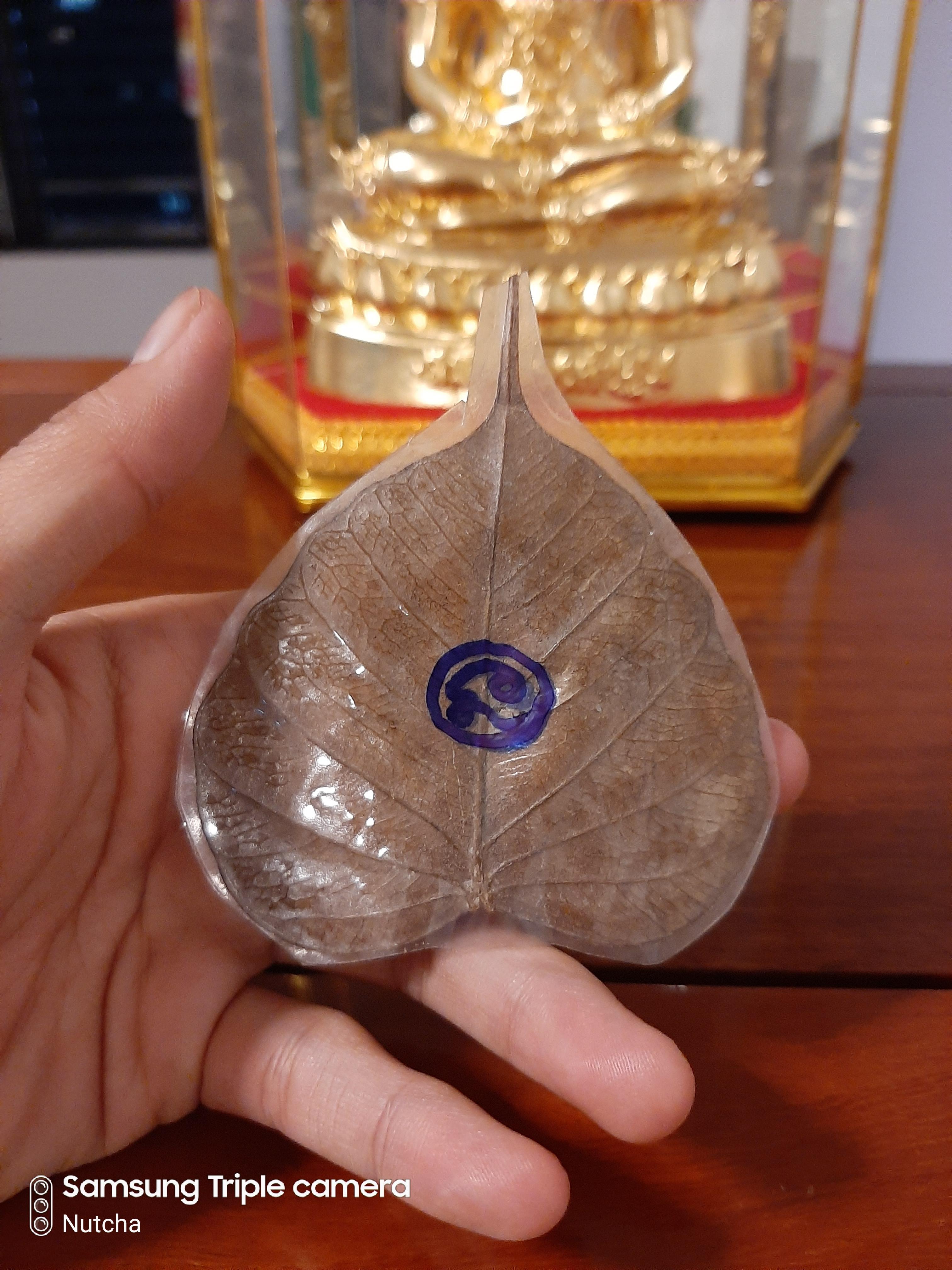 ใบไม้มงคล (๒) พระอาจารย์เล็กจารยันต์นะโมตาบอด งานเสาร์ ๕ (พิธีนี้องค์ปฐมเสด็จ)