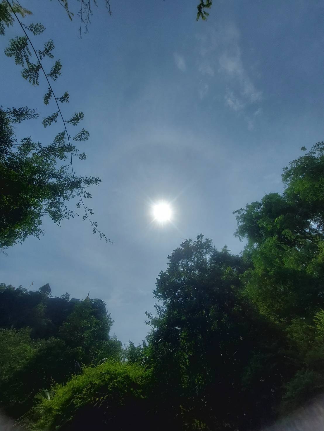 ตะกรุดสัมพุทเธหงสา มหาลาภ เนื้อเงิน ลพ.เล็กวัดท่าขนุน ลพ.บ๊ะ (คงกระพันชาตรี) 1 ใน 50 ดอก ปี 68